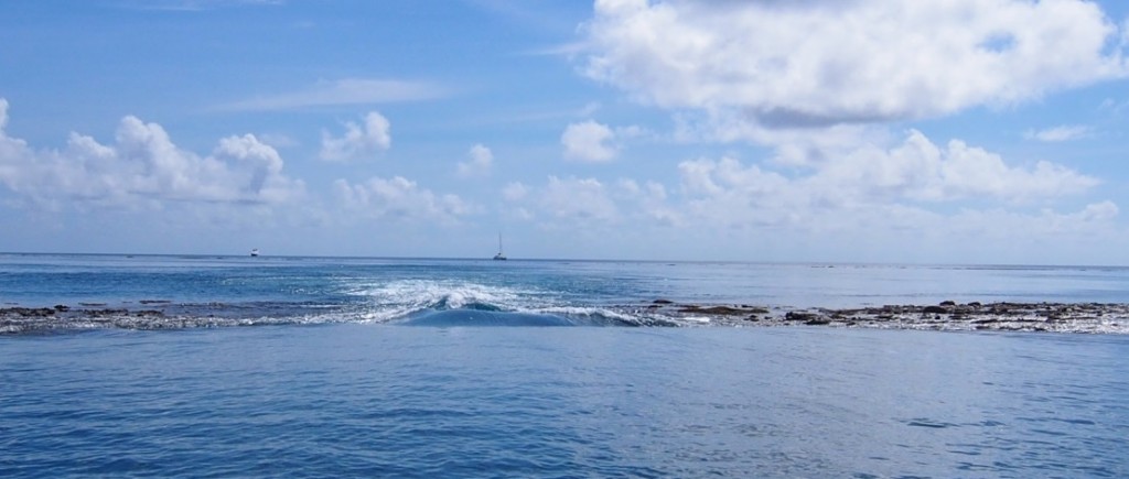 P5031299 cropped